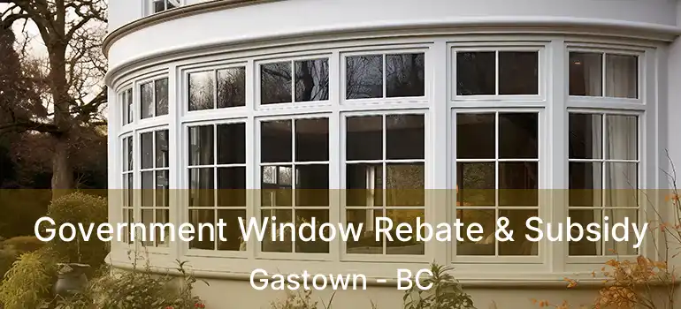  Government Window Rebate & Subsidy Gastown - BC