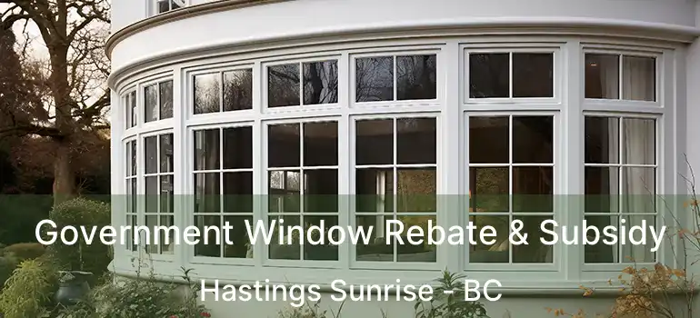  Government Window Rebate & Subsidy Hastings Sunrise - BC