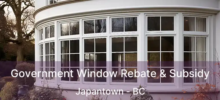  Government Window Rebate & Subsidy Japantown - BC