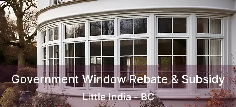  Government Window Rebate & Subsidy Little India - BC
