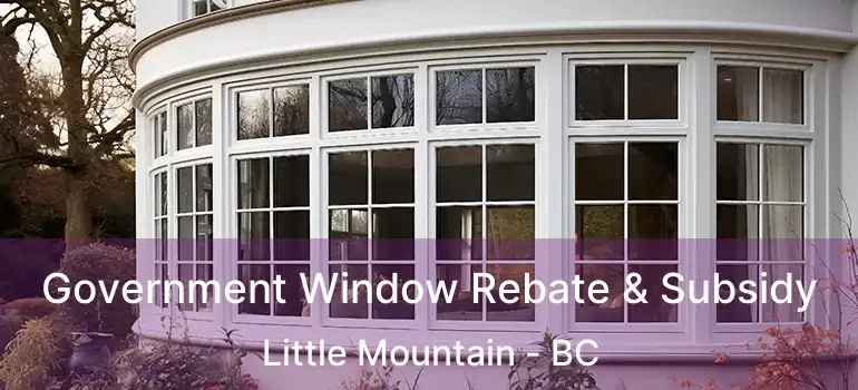  Government Window Rebate & Subsidy Little Mountain - BC
