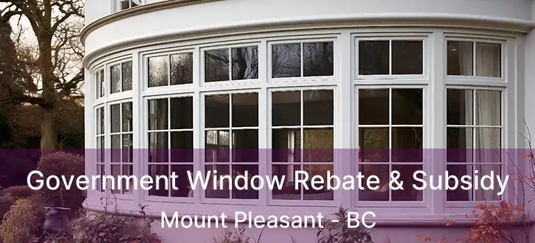  Government Window Rebate & Subsidy Mount Pleasant - BC