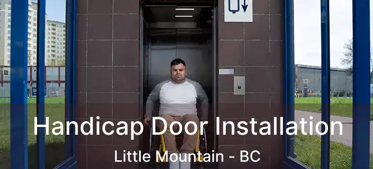  Handicap Door Installation Little Mountain - BC