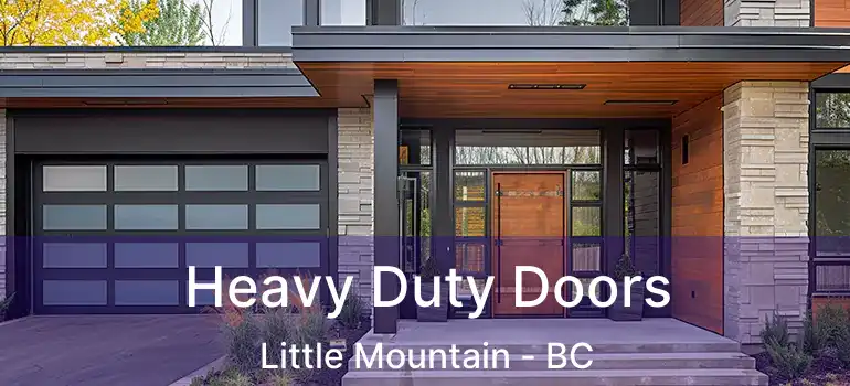  Heavy Duty Doors Little Mountain - BC