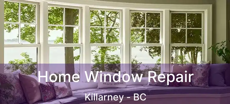  Home Window Repair Killarney - BC