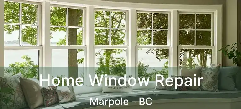  Home Window Repair Marpole - BC