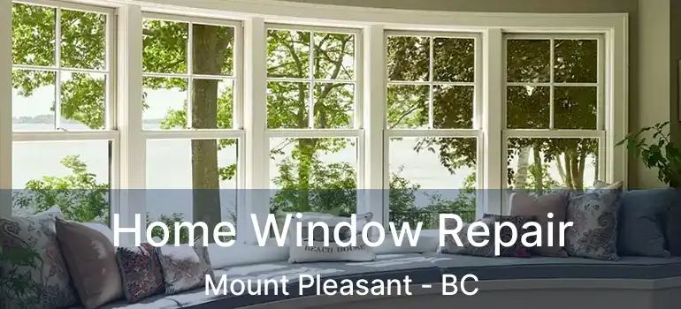  Home Window Repair Mount Pleasant - BC