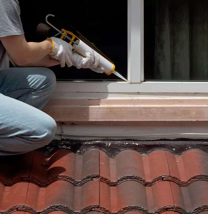 Roof Window Services in Vancouver, British Columbia