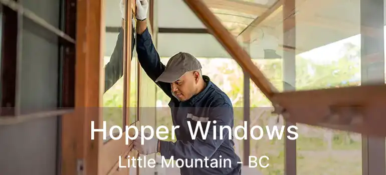  Hopper Windows Little Mountain - BC