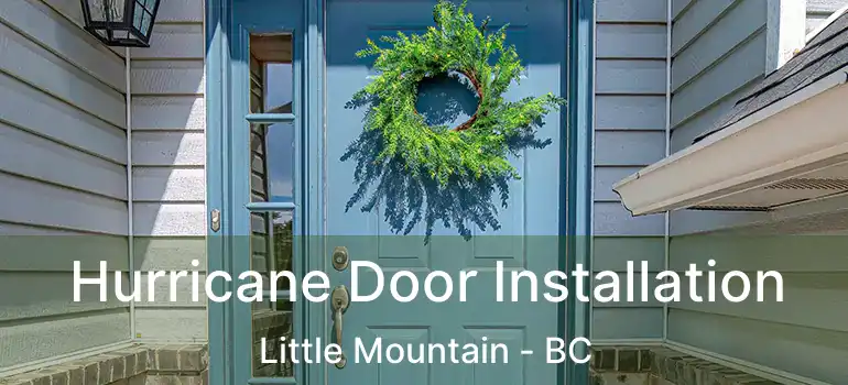 Hurricane Door Installation Little Mountain - BC