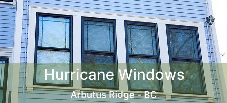  Hurricane Windows Arbutus Ridge - BC