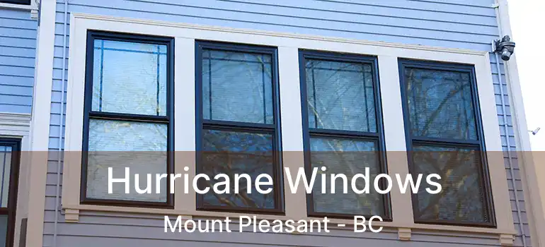  Hurricane Windows Mount Pleasant - BC