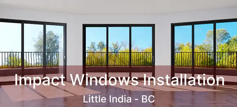  Impact Windows Installation Little India - BC