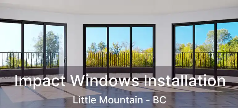 Impact Windows Installation Little Mountain - BC