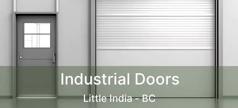  Industrial Doors Little India - BC