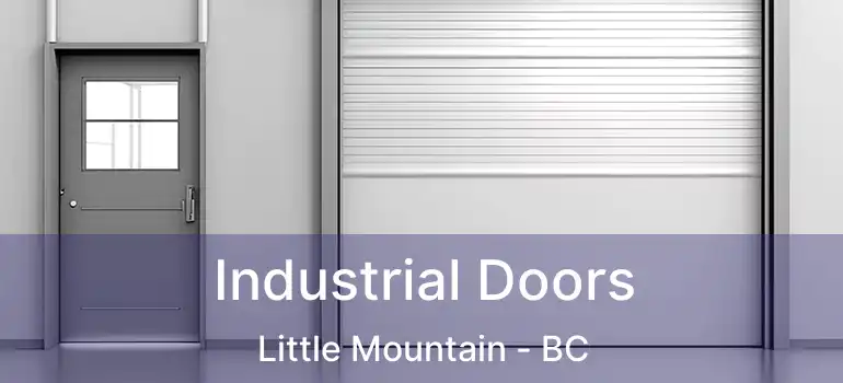  Industrial Doors Little Mountain - BC