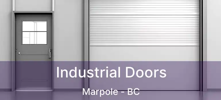  Industrial Doors Marpole - BC