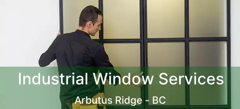  Industrial Window Services Arbutus Ridge - BC