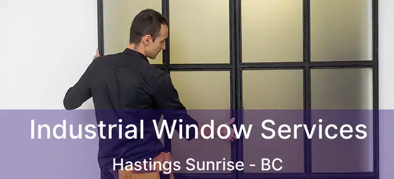  Industrial Window Services Hastings Sunrise - BC