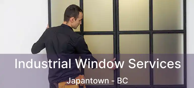  Industrial Window Services Japantown - BC