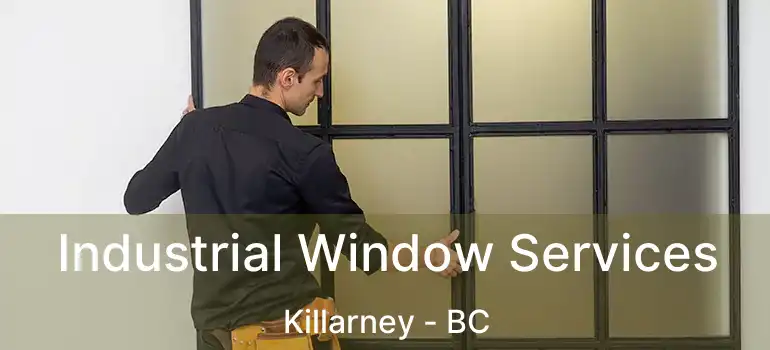  Industrial Window Services Killarney - BC