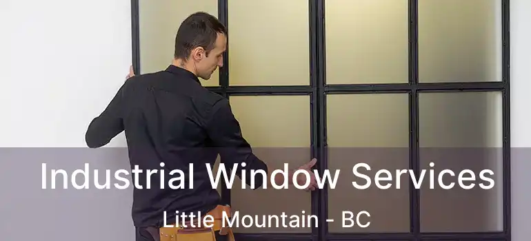 Industrial Window Services Little Mountain - BC