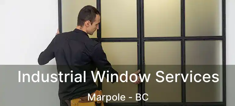  Industrial Window Services Marpole - BC