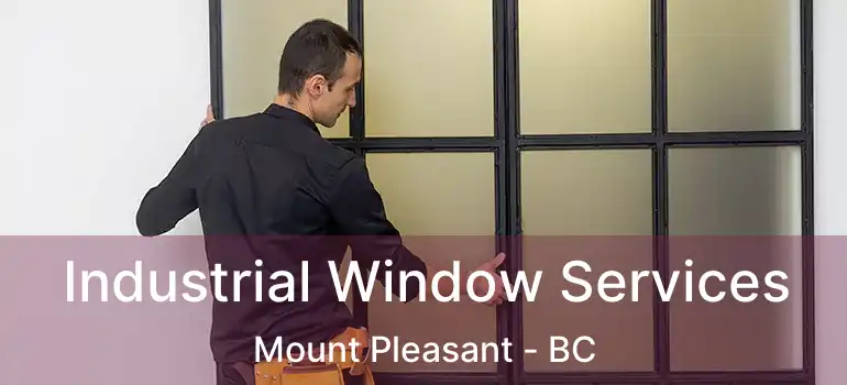  Industrial Window Services Mount Pleasant - BC