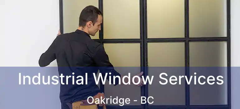  Industrial Window Services Oakridge - BC