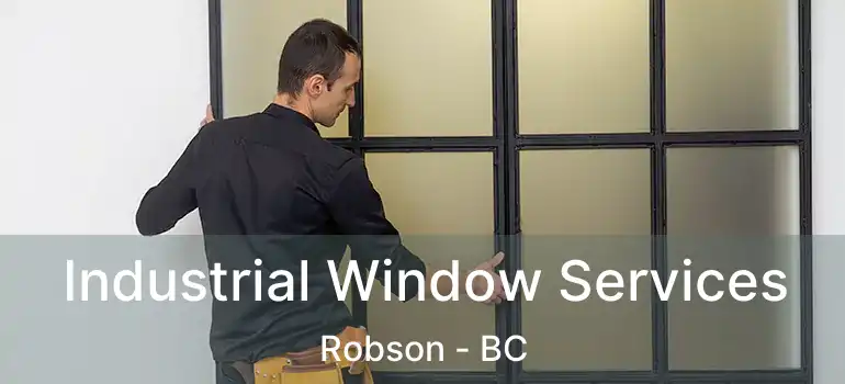  Industrial Window Services Robson - BC