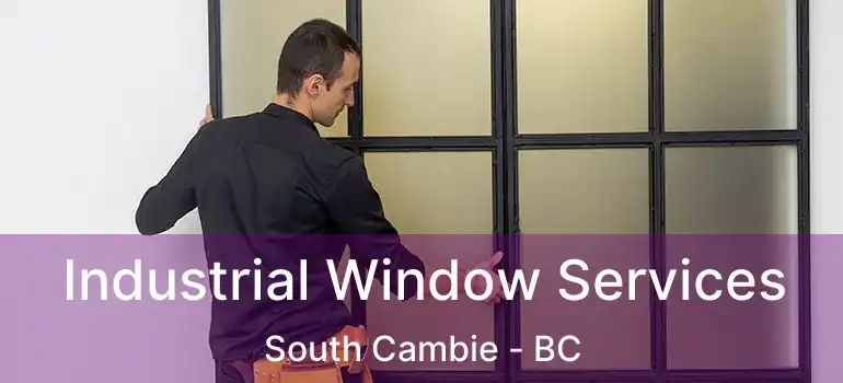  Industrial Window Services South Cambie - BC