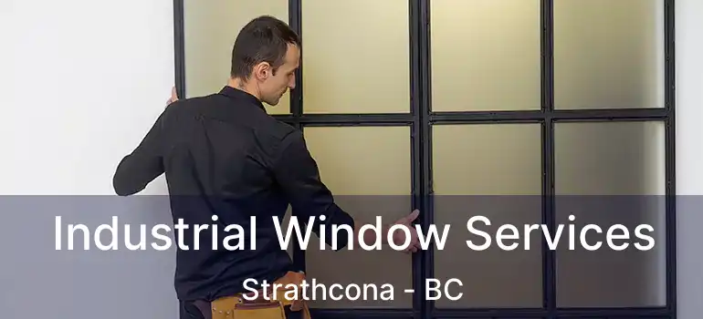  Industrial Window Services Strathcona - BC