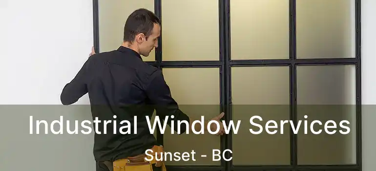  Industrial Window Services Sunset - BC