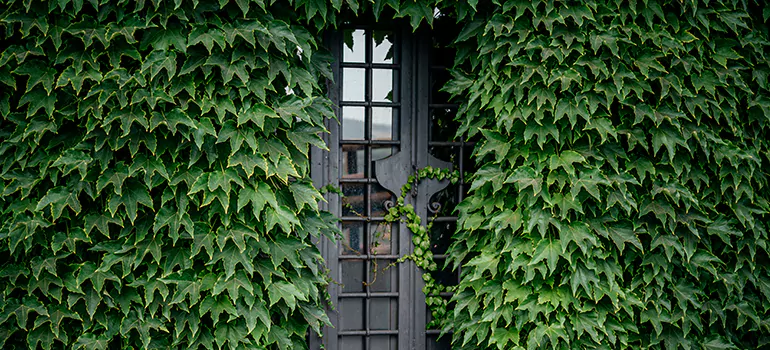 Garden Gate Repair in Vancouver, BC