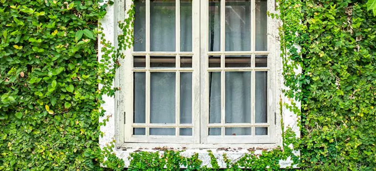 arden Window Repair Near Me in Vancouver, BC