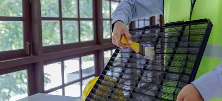 Traditional Window Grille Installation Options in Vancouver, BC