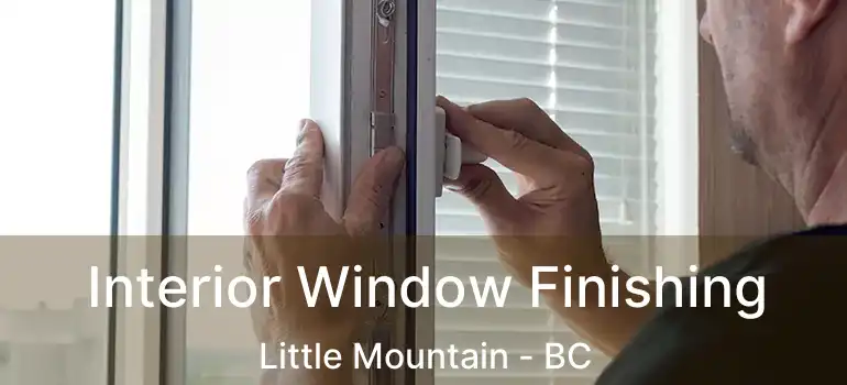  Interior Window Finishing Little Mountain - BC