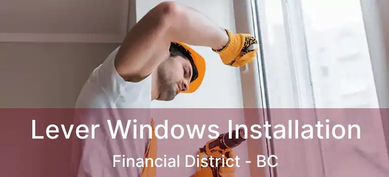  Lever Windows Installation Financial District - BC