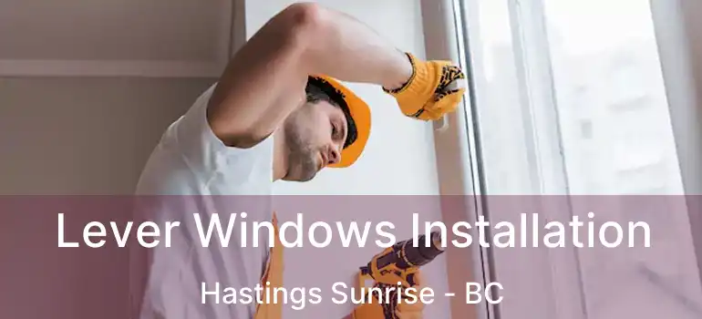  Lever Windows Installation Hastings Sunrise - BC