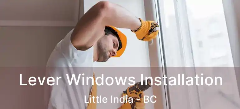  Lever Windows Installation Little India - BC