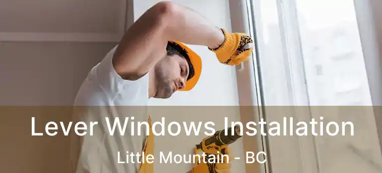  Lever Windows Installation Little Mountain - BC