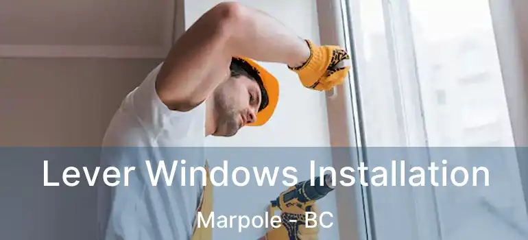  Lever Windows Installation Marpole - BC