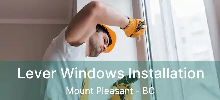  Lever Windows Installation Mount Pleasant - BC