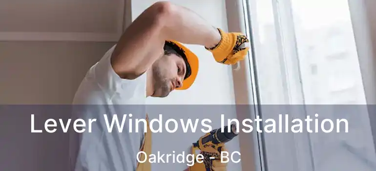  Lever Windows Installation Oakridge - BC
