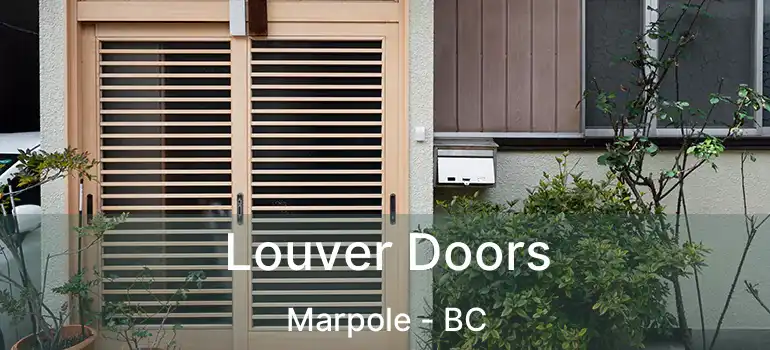  Louver Doors Marpole - BC