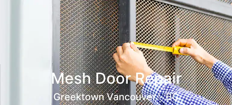  Mesh Door Repair Greektown Vancouver - BC