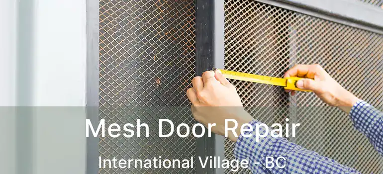  Mesh Door Repair International Village - BC
