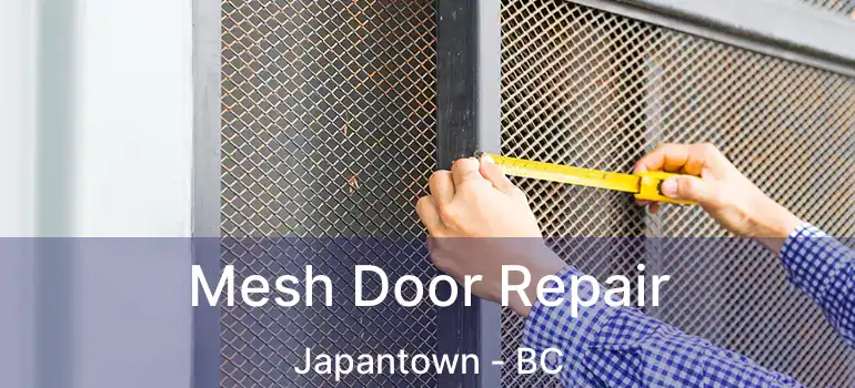  Mesh Door Repair Japantown - BC