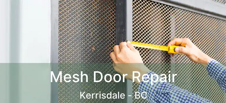  Mesh Door Repair Kerrisdale - BC