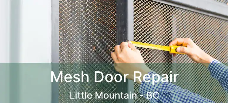  Mesh Door Repair Little Mountain - BC